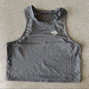 Rabbit Running Crop Hop Crop Top